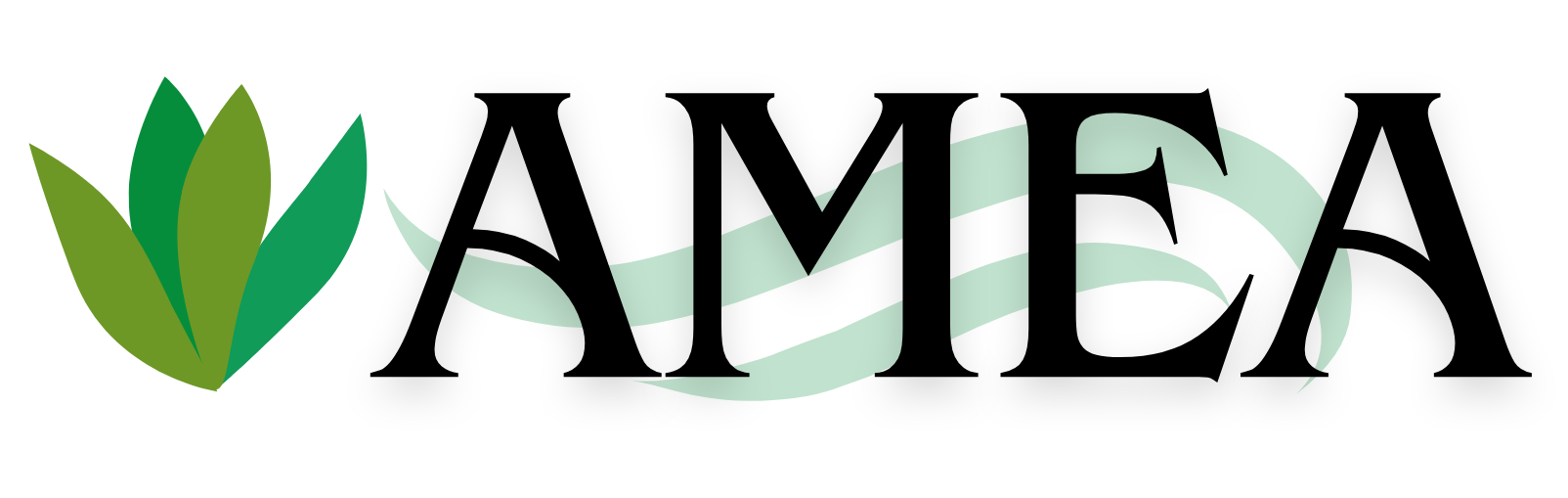 AMEA Lawn Care & Maintenace